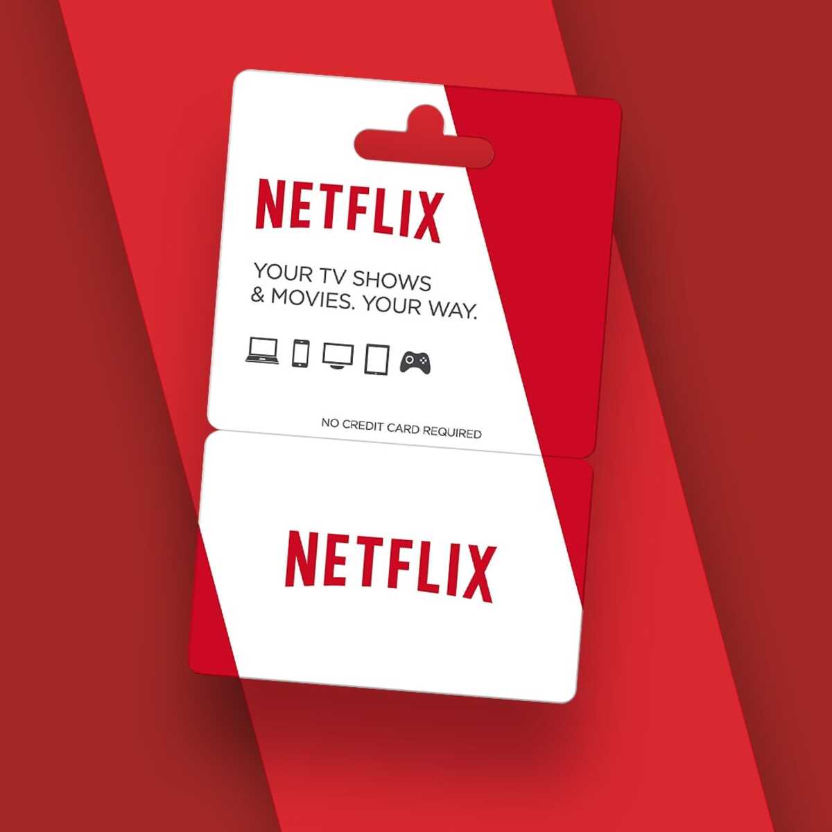 Netflix for 6 Months